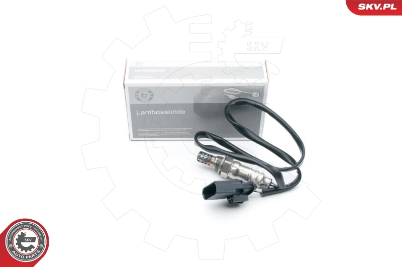 Oxygen Sensor